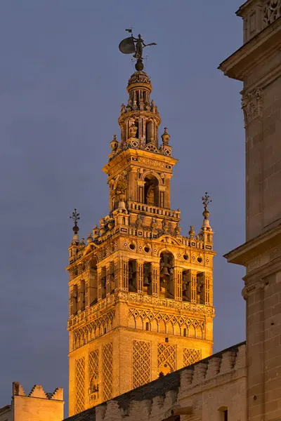 SEVILLE, İspanya - 14 Mart 2016: Seville Katedrali 'nin Giralda Çan Kulesi' nin dış manzarası gece aydınlandı