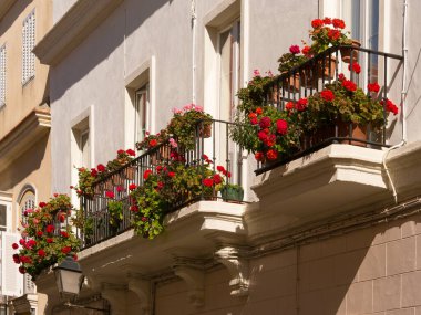 CADIZ, İspanya - 13 Mart 2016: Çiçek kutularıyla güzel balkonlar