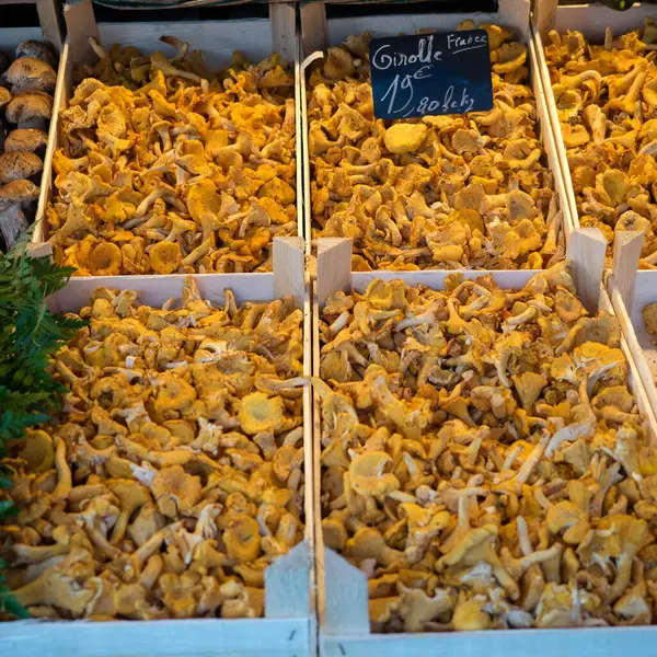 SANTES, FRANCE - 09 Eylül 2017: Fiyat etiketli bir pazarda taze çiğ Chanterelle mantarları kutuları