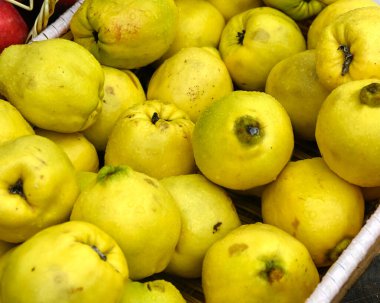 Taze taze Quince meyvesi bir manav tezgahında çiftçi pazarında