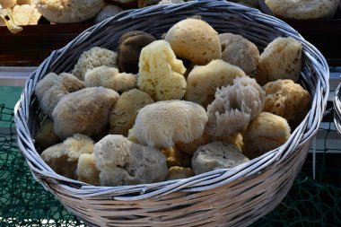 Yunanistan 'da bir limanda sepetteki doğal deniz süngeri