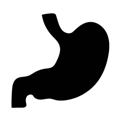 Mide silüeti çizimi eğitim ve sağlık sektörü projeleri için kullanışlı