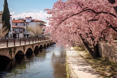 Idyllic bahar sahnesi: Pembe çiçekler, sakin bir nehrin üzerinde, büyüleyici bir mimari ve canlı bir şehir manzarası sergileyen, resim gibi taş bir köprü oluştururlar..
