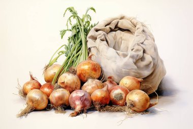 Gerçekçi bir suluboya resim açık çuval yanında taze soğan hasadı sunar. Bu detaylı natürmortta organik sebzeler yemek ve aşçılık projeleri için mükemmel. İdeal...