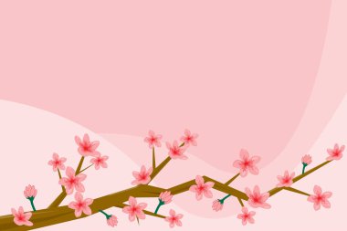 Güzel pembe kiraz çiçeği arka planı