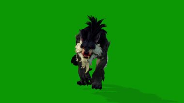 Yeşil Ekran Görüntüleme Canlandırmasında 3B Worg Yavaş Yürüme Önü