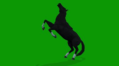 Yeşil Ekranda Siyah At Ölümü Sahnesi 3D Canlandırma