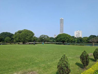 Ranquil Urban Oasis Parkta güneşli bir gün