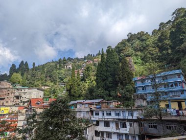 Serene Hillside Kasabası yemyeşil dağlara kurulmuş