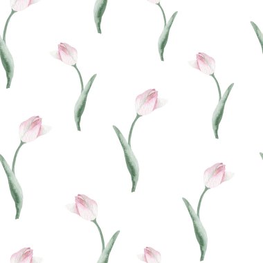 Beyaz zemin üzerinde zarif pembe ve yeşil lalelerin yer aldığı el boyalı suluboya lale desenleri; Duvar kağıdı, tekstil baskıları, kırtasiye malzemeleri ve grafik tasarım projeleri için mükemmel