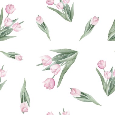 Beyaz zemin üzerinde zarif pembe ve yeşil lalelerin yer aldığı el boyalı suluboya lale desenleri; Duvar kağıdı, tekstil baskıları, kırtasiye malzemeleri ve grafik tasarım projeleri için mükemmel