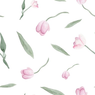 Beyaz zemin üzerinde zarif pembe ve yeşil lalelerin yer aldığı el boyalı suluboya lale desenleri; Duvar kağıdı, tekstil baskıları, kırtasiye malzemeleri ve grafik tasarım projeleri için mükemmel