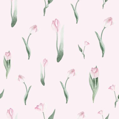 Açık Pembe Arkaplan Üzerinde Zarif Pembe ve Yeşil lalelerin yer aldığı, Zarif Ev ve Moda Dekorasyonu İçin El Boyalı Suluboya Lale Şablonu; Duvar Kağıdı, Tekstil Baskısı, Kırtasiye ve Grafik Tasarım Projeleri İçin Mükemmel