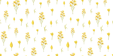 Çocuk Dekoru İçin El Boyalı Çocuklar Şablonu Zarif Resimli Sallanan Atlar, Pembe & Beyaz Çizgili Yaylar, ve Şeffaf Arkaplanda Narin Pembe Çiçekler, Duvar Kağıdı, Kumaş ve Çocuk Giyimi Projeleri İçin Mükemmel