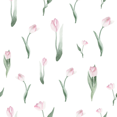 Şeffaf Arkaplanda Narin Pembe ve Yeşil lalelerin yer aldığı Zarif Ev ve Moda Dekorasyonu İçin El Boyalı Suluboya Lale Şablonu; Duvar Kağıdı, Tekstil Baskıları, Kırtasiye ve Grafik Tasarım Projeleri için Mükemmel