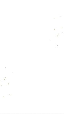 minimalist saf düğün davetiyesi video dikey arkaplan boş şablonu