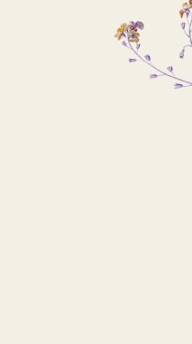 Taç bej düğün davetiyesi video dikey arkaplan boş şablon _ 4