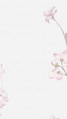 Romantik sakura düğün davetiyesi video dikey arkaplan boş şablon _ 2