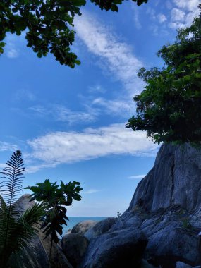 Palmiye ağaçları ve mavi gökyüzü olan güzel sahil