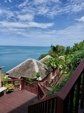 Palmiye ağaçları ve mavi deniz ile güzel tropikal plaj