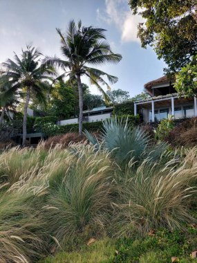 Parkın güzel manzarası