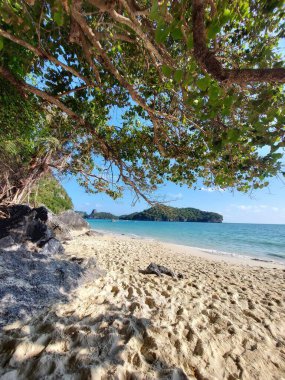 Mavi gökyüzü olan güzel tropikal plaj