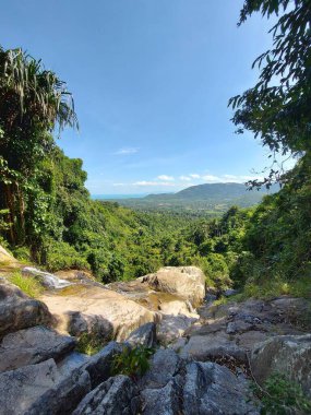 Tayland 'ın kuzeyindeki ormanın güzel manzarası
