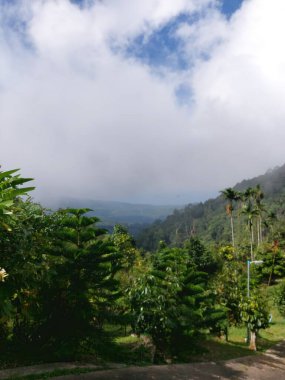 Mauritius adasındaki dağdan manzara