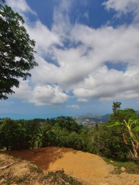 Bir dağı ve küçük bir adası olan güzel bir manzara.