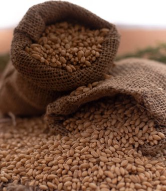 Kasede Jute Bags ile tam buğday taneleri