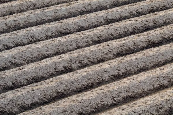 Boş arazi, çorak tarlalar, kuru tarlalar, ekilmemiş boş topraklar, doku ve arka plan için.