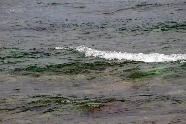 Koyu, dalgalı okyanus suyunun yüzeyinde köpüklü dalga yükseliyor..