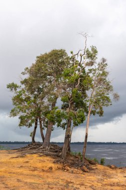 Anavilhanas, Amazonas, Brezilya 'daki Negro Nehri üzerindeki yoğun yağmur bulutlarına güzel manzara
