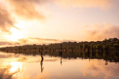 Brezilya Amazon, Anavilhanas, Amazonas, Brezilya 'daki Negro River' da sele kapılmış ölü ağaçlara güzel bir gün doğumu manzarası