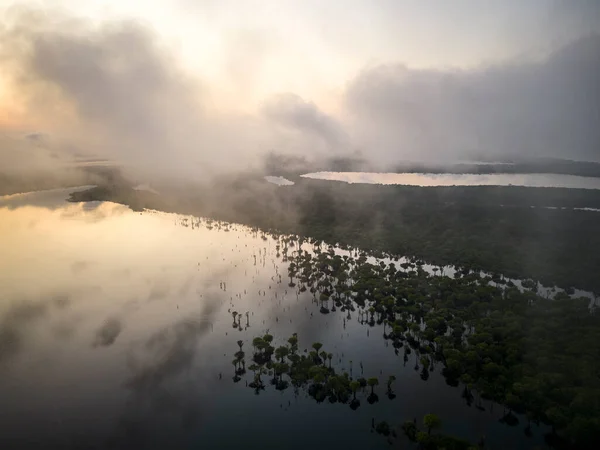 Hermosa Vista Aérea Selva Amazónica Verde Nubes Islas Río Archipiélago — Foto de Stock