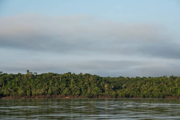 Hermosa Vista Los Árboles Verdes Río Negro Amazonía Brasileña Anavilhanas — Foto de Stock