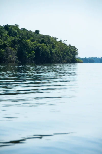 Hermosa Vista Los Árboles Verdes Río Negro Amazonía Brasileña Anavilhanas — Foto de Stock