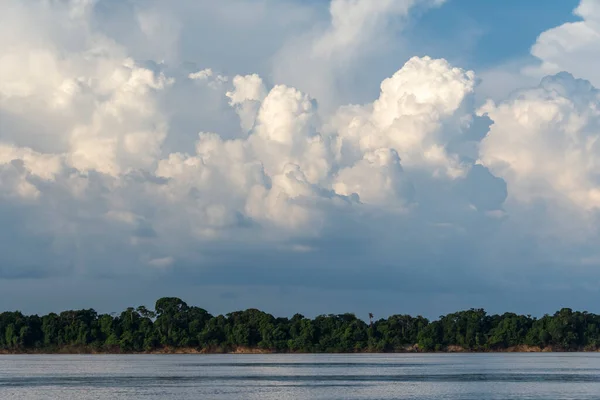 緑のアマゾンの熱帯雨林とアナヴィハナス州 アマゾン州 ブラジルの大きな雲への美しい景色 — ストック写真