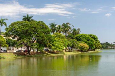 Belo Horizonte, Minas Gerais, Brezilya 'da yeşil alanda güzel bir şehir gölü.