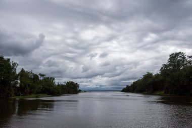 Beautiful view to large river, big rain clouds and green Amazon Rainforest, near Manaus, Amazonas State, Brazil