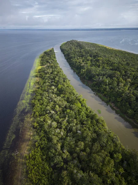 Hermosa Vista Aérea Drones Grandes Ríos Selva Verde Amazonía Brasileña — Foto de Stock