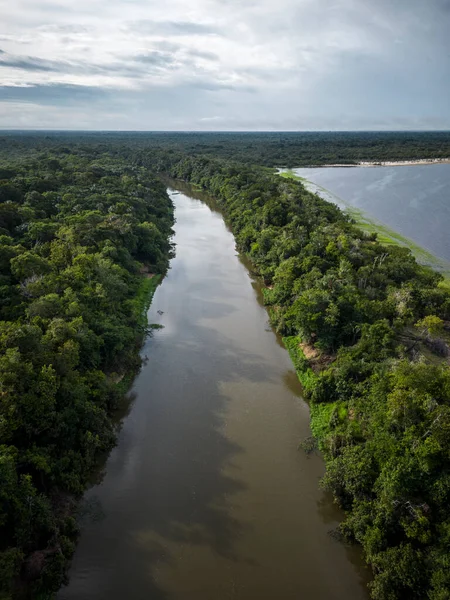 Beautiful Aerial Drone View Large Rivers Green Rainforest Brazilian Amazon —  Fotos de Stock