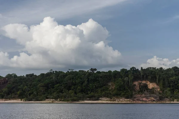 Belle Vue Sur Grande Rivière Forêt Amazonienne Verte État Amazonas — Photo