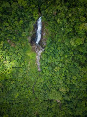 Guaraqueaba, Paran, Brezilya 'daki yeşil Atlantik yağmur ormanı şelalesine güzel hava manzarası.