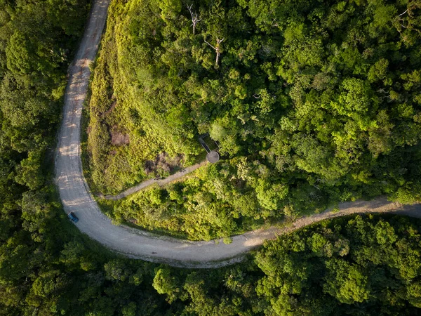 Krásný Letecký Pohled Ostré Odbočit Silnici Zelených Deštných Pralesích Guaraqueaba — Stock fotografie