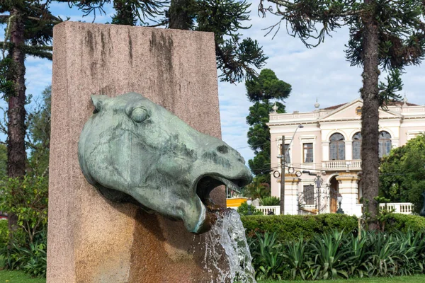 Beautiful View Horse Water Fountain Historic City Buildings Downtown Curitiba — Stock Photo, Image