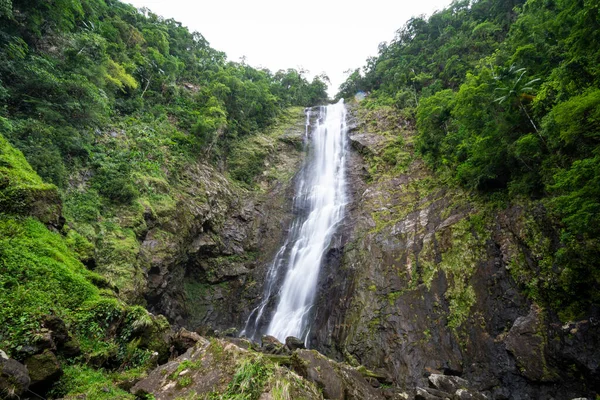 Prachtig Uitzicht Groene Atlantische Regenwoud Waterval Salto Morato Ecologisch Reserve — Stockfoto