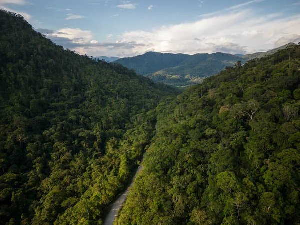 Piękny Widok Lotu Ptaka Zielone Lasy Deszczowe Rejonie Guaraqueaba Paran — Zdjęcie stockowe