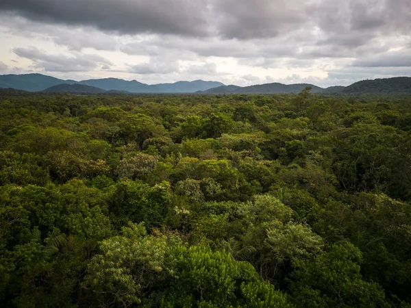 Hermosa Vista Aérea Las Verdes Montañas Selva Tropical Área Guaraqueaba — Foto de Stock