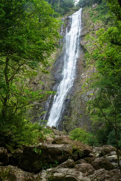 Hermosa Vista Las Verdes Cataratas Selva Atlántica Reserva Ecológica Salto — Foto de Stock